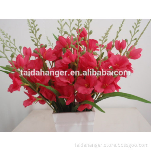 Multi Color Pearl Gladiolus Flower Wholesale With Good Quality